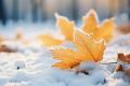 До 50 см снігу та ожеледиця: де і коли погіршиться погода в Україні