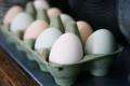 Чи стануть яйця елітним продуктом: міністр аграрної політики дав відповідь