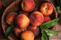 Персик чи нектарини: який фрукт корисніший для здоров’я
