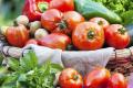 Ультраранні сорти помідорів: врожай можна збирати вже в кінці травня
