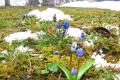 Прогноз погоди на 6 березня: в Україні буде тепло, але місцями сніг та ожеледиця