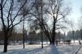 В Україні теплішає —  вдень до +7°, подекуди опади