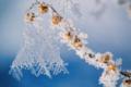 В Україні 23 лютого без опадів, від 16° морозу до 10° тепла