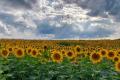 23 липня в Україні до +32°, подекуди короткочасні дощі й грози
