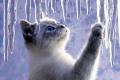 Морози нарешті відступають: прогноз погоди в Україні на 14 січня
