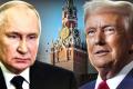 Що буде після розмови Трампа з Путіним: Портников назвав два сценарії