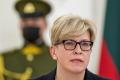 Голова уряду Литви пояснила, як досягти миру в Україні: до чого тут НАТО