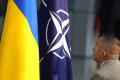 Україна могла бути в НАТО ще 2006 року: колишній американський посадовець розповів, що цьому завадило