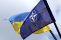 Союзники придумали для України альтернативу вступу до НАТО, - WP