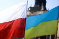 У Польщі 77% нових компаній належать українцям, - ЗМІ