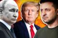 Трамп оцінив розмови з Путіним і Зеленським: деталі