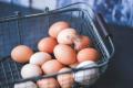 Скільки і як правильно зберігати сирі яйця: дієтичні, столові, миті і немиті