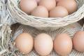 Експерти пояснили, що буде з цінами на яйця в Україні