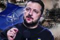 Зеленський визнав малоймовірність вступу України до НАТО: що заважає