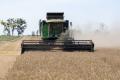 В Україні підвищили прогноз збору зерна через рекордну урожайність