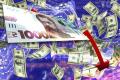 Чи повернеться курс долара в Україні до 20 чи 30 гривень: відповідь економіста