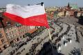 Польща домовляється про масове виробництво протитанкових боєприпасів