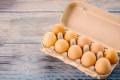 В Україні помітно переписали ціни на яйця: скільки тепер коштує десяток