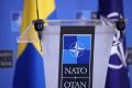 НАТО хоче обмінюватися з Україною новими розвідданими про РФ: стосуються РЕБ і не лише