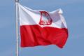 Де та як шукати роботу в Польщі: у посольстві дали важливі поради українцям