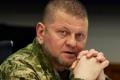 Виборчий штаб? Суспільство вимагає пояснень від Залужного