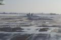 Из-за снега в аэропортах Одессы и Харькова начались задержки рейсов 