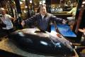 На аукционе в Токио продали тунца за рекордные $3,1 млн 