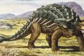 Американские ученые нашли новый вид гигантского динозавра с доспехами