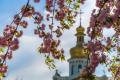 16 травня: церковне свято сьогодні, що поставити на стіл, щоб у домі водилися гроші