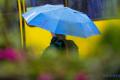 У понеділок Україні прогнозують сильний вітер, заморозки, подекуди дощ з мокрим снігом