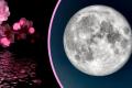 Рожева повня 2 квітня: що категорично не можна робити цього дня і як використати її силу