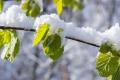 В Украину вернется холод и снег: синоптики уточнили прогноз на неделю