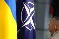 Де ні в якому разі не варто садити фруктові дерева: експерти назвали 6 невдалих місць