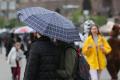 Температурний мінімум у центрі та +23 на сході: якою буде погода 14 травня