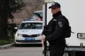 Цієї рослини мурахи й попелиця бояться, як вогню: посадіть її поміж деревами у своєму саду