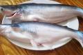 Названо найгіршу у світі рибу, яку не можна їсти, але її продають у всіх супермаркетах