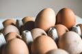 Уся правда про яйця: чи корисні вони і скільки їх можна їсти