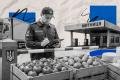 Битва за полиці. Чому Україна нарощує імпорт продуктів і хто в цьому винен