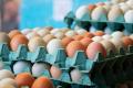 Весняне зниження цін - під питанням: чому яйця можуть не подешевшати після Великодня