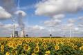 В Україні перейменували Южно-Українську атомну електростанцію: яку назву отримала