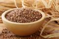 Експерт заявив, що в Україні зміняться ціни на гречку: коли і як