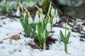 Лютий в Україні стає весняним місяцем: метеорологиня розповіла, якою буде зима