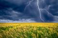 Серпень в Україні почнеться з 30-градусної спеки та гроз: де будуть опади