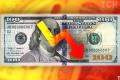 Курс валют в Україні: долар подешевшав і 