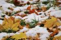 В Україні ударять морози і випаде перший сніг: синоптики назвали дати