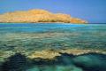 Вчені зробили «жахливе» відкриття на дні Червоного моря: що там виявили