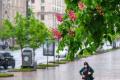 Прогноз погоди на 11 червня: неділя в Україні буде дощовою та з грозами