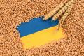 Як і куди Україна продає зерно: чому і які країни забороняють імпорт