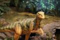 Знахідка кинула виклик вченим: у Чилі виявили рештки нового виду динозаврів