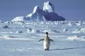 Уперше за мільйони років: в Антарктиді зафіксували небувале та загрозливе явище